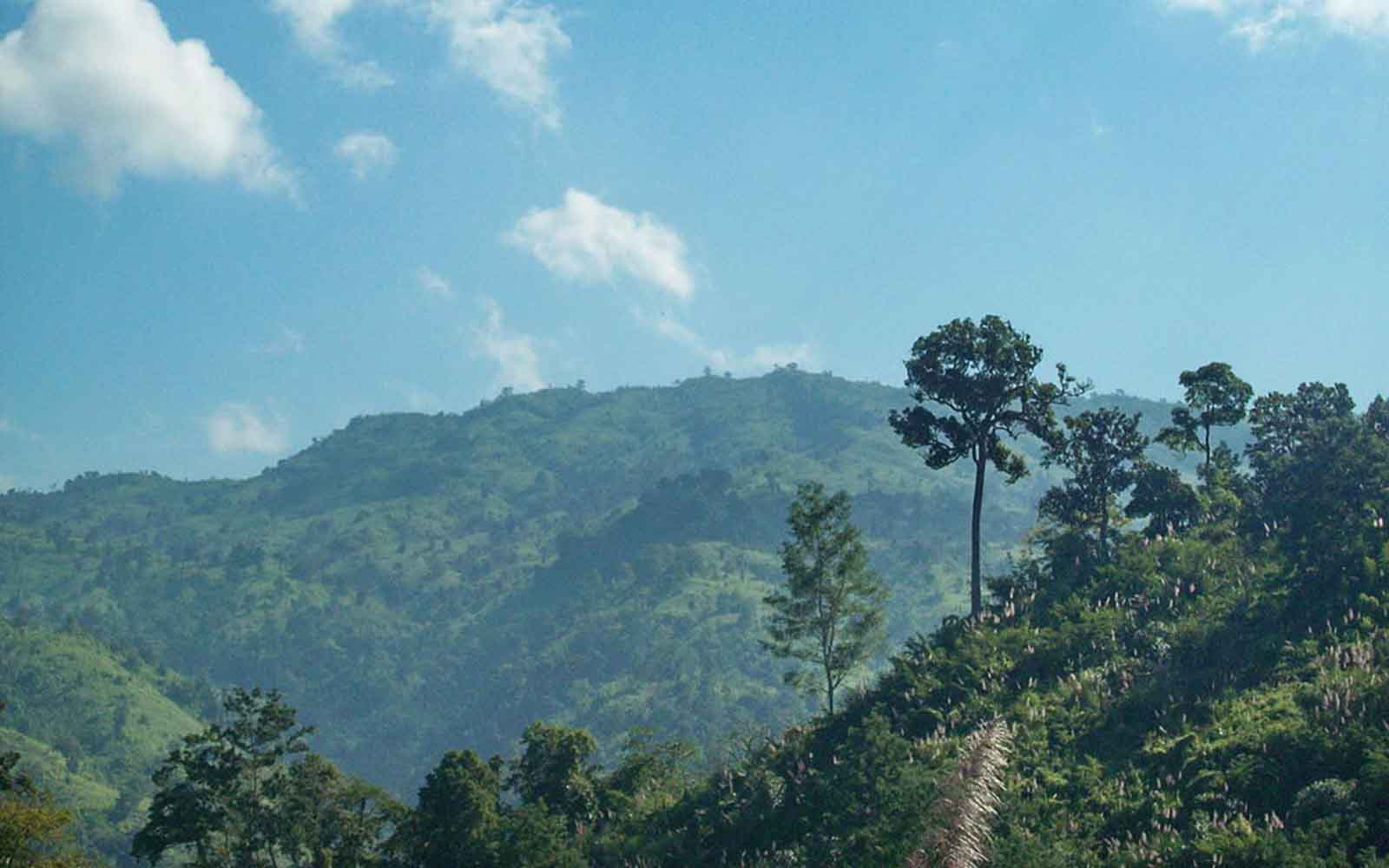Maithaijama Hapong, বাংলাদেশের সেরা সাতটি পর্বতশৃঙ্গ সম্পর্কে জানুন
