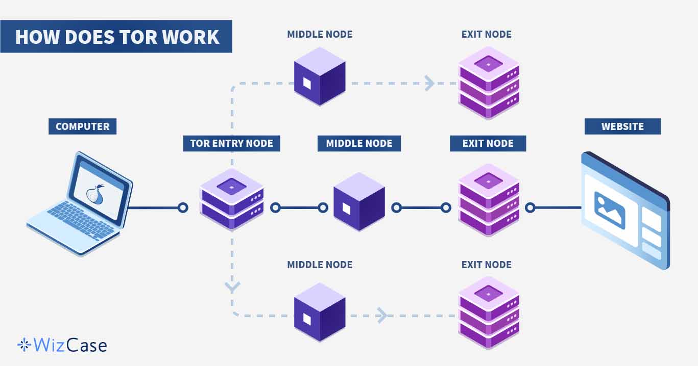 Tor Working Process